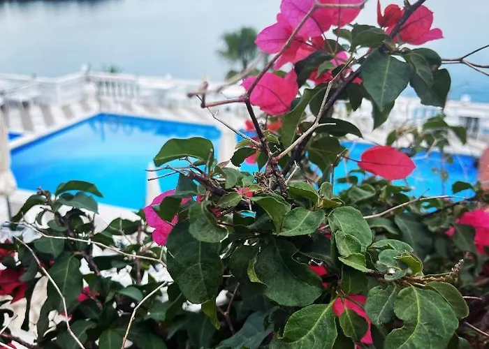 Kommeno Bay 아파트 *